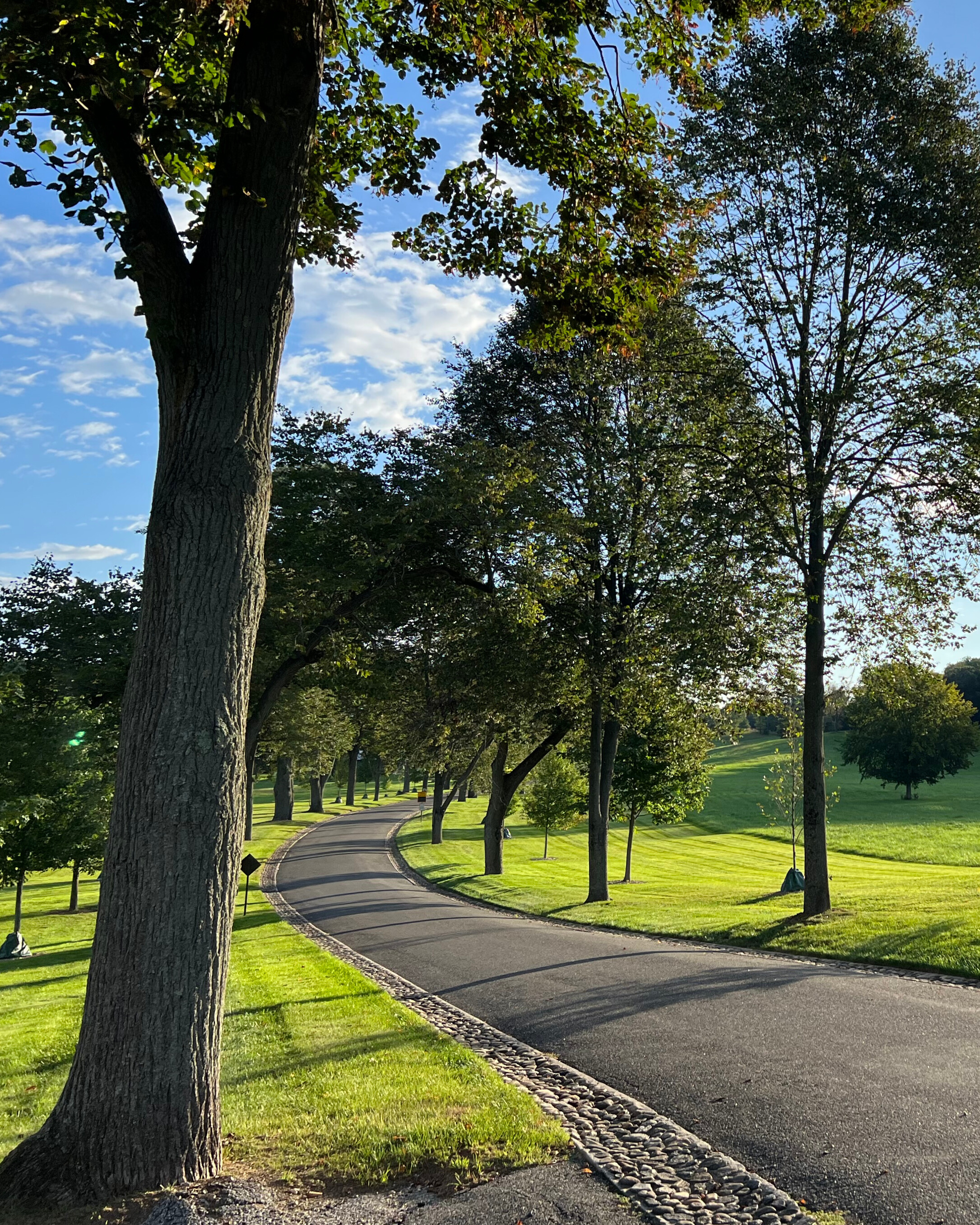 Greentree Foundation