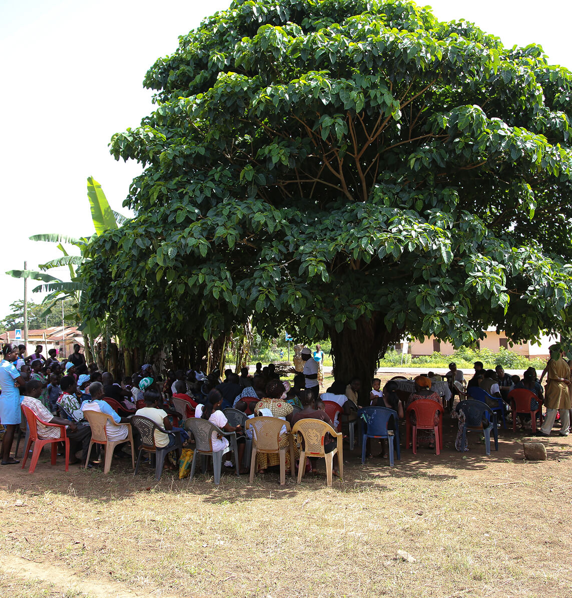 Greentree Foundation